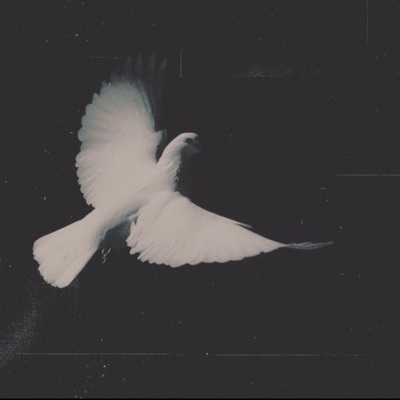ANGEL - Single