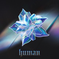 Human - Single - Cheat Codes & LP