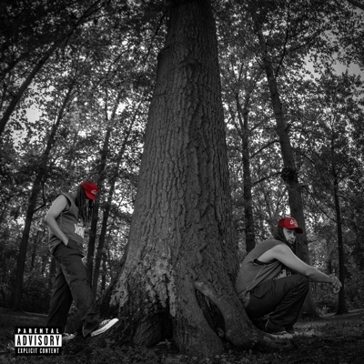 Alignment (Deluxe)