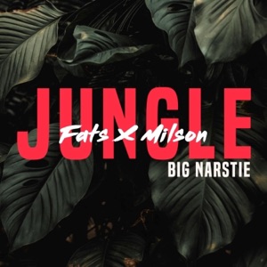 Jungle (feat. Imech) - Single