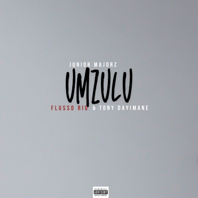 Umzulu (feat. Tony Dayimane & Flusso Rio) - Single
