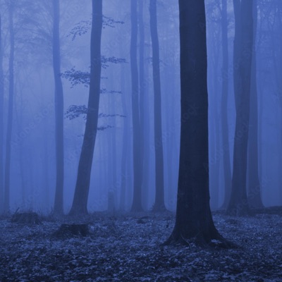 Midnight Elegy (feat. Roberto Milano) - Single