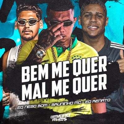 Bem Me Quer Mal Me Quer - Single