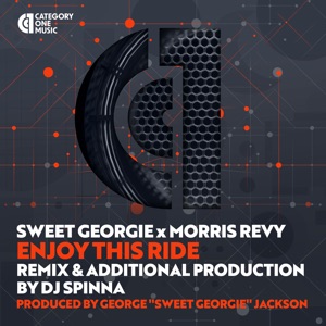 Enjoy This Ride (DJ Spinna Galactic Soul Radio Remix)