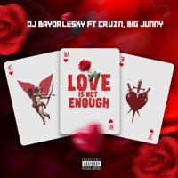Love is not enough (feat. Cruzn & Big Junny) - Single - DJ Bayorlesky