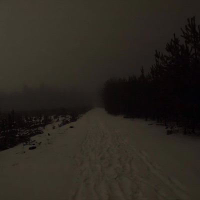 lonely forest - Single