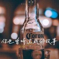你也曾听过我的故事 - Single - 王佳音