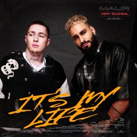 It's My Life (Silver Ace Remix) MAUR & Kery Scandal
