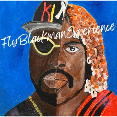 FlyBlackmanExperience