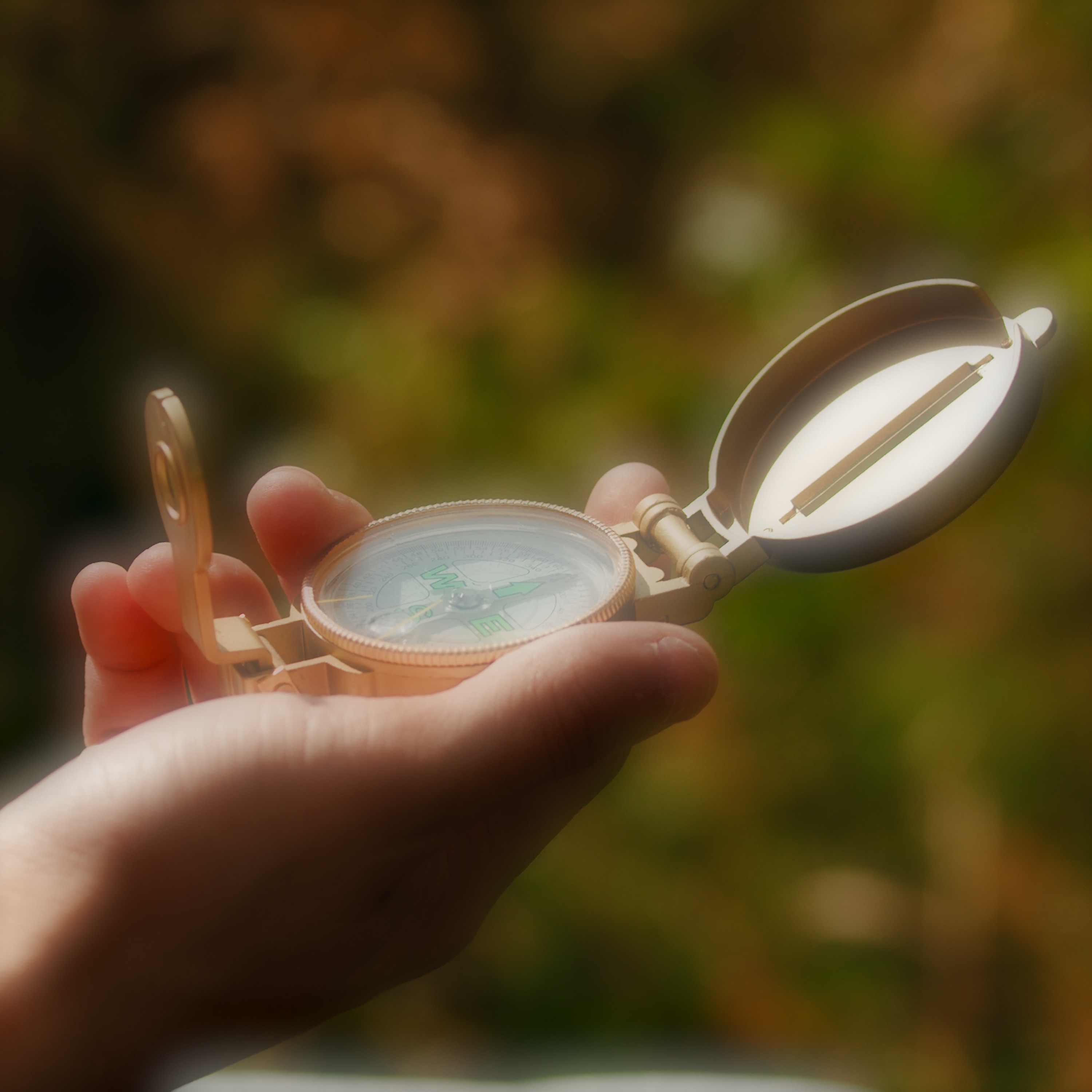 Dosekesh - Temirqazyq