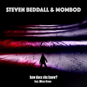 How Does She Know? (feat. Missy Cross) - Single