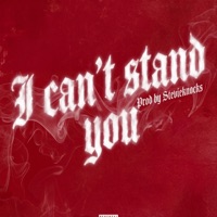 I Can't Stand You - Single - Stevieknocks