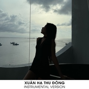 XUÂN HẠ THU ĐÔNG (Instrumental Version)
