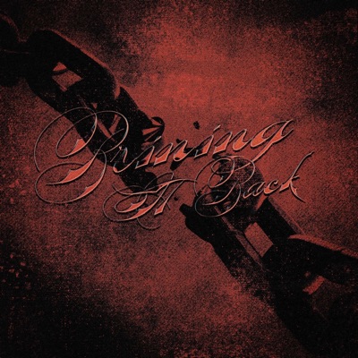 Bringing It Back - Single