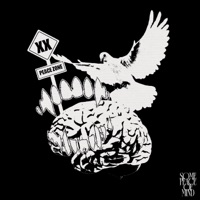 SOME PEACE OF MIND - Single - Davinxx