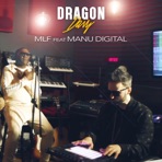 MLF (feat. Manudigital) - Single