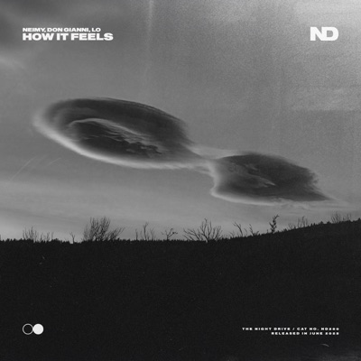 How It Feels - Single