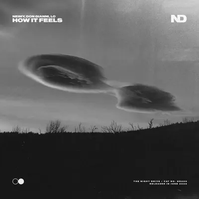 Listen to How It Feels - Single by NEIMY, Don Gianni & LO