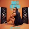 Shake It To The Max (FLY) cover art