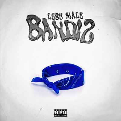 Bandi2 - Single