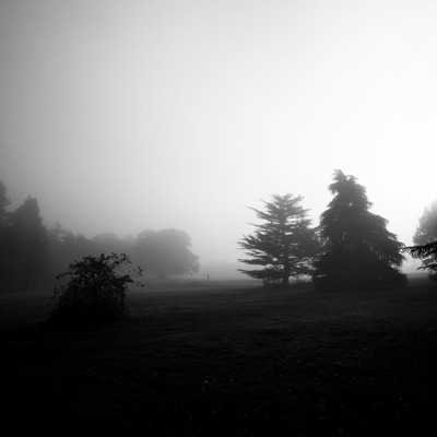 Living Words - Single