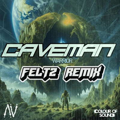 Warrior (FELTZ Remix) - Single