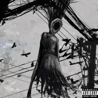 my neighbors must really like me :) - Single - Eye.dntty