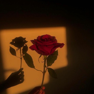 Rosas Pra ti (feat. Eugod Eusanto Eucruzes) - Single