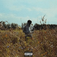 Tell me (feat. FIZZY) - Single - Infinite Dreamscape