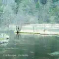 Chill Escape