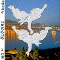 TETOKE - Single - Beteulan, Curveelo & mnts