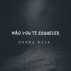 Não Vou Te Esquecer - Single