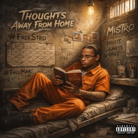 See Me Doing Bad Mistro