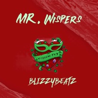 Posion Ivy (feat. Blizzybeatz) [Radio Edit] - Single - Mr. Wispers