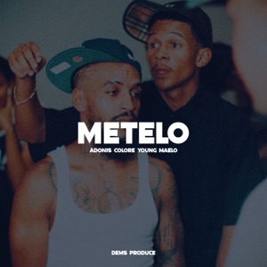 Metelo
