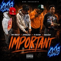 Important (feat. Springchild, Ty Heeemm & Foreign4x) - Single - BDB Threezy