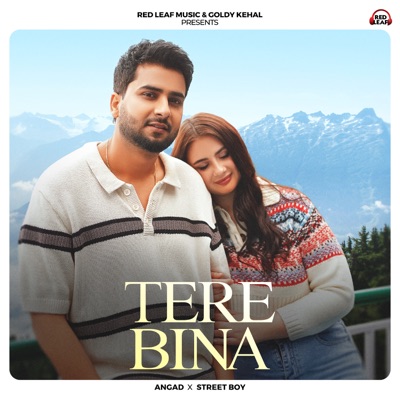 Tere Bina - Single