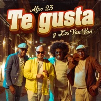 Te Gusta - Single - Afro 23 & Los Van Van