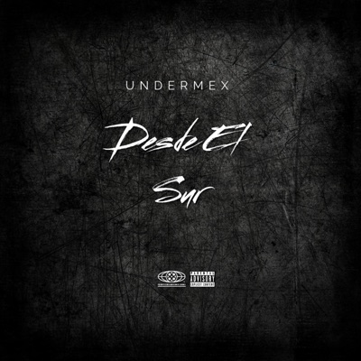 Desde El Sur (feat. FatLine, Grueso Eme, Krudose & Noarth) - Single