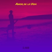 Amor de la Vida artwork