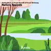 Forest Sounds