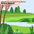 Forest Sounds