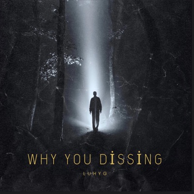 Why you dissing - Single