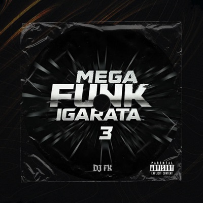 MEGA FUNK IGARATA 3 - Single