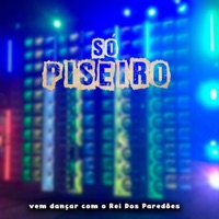 Só Piseiro Vem Dançar Com o Rei dos Paredões - Single - Dj Nando Beatz