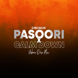 Pasoori X Calm Down (Urban Desi) Nick Dhillon