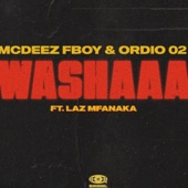 WASHAAA (feat. Laz Mfanaka) artwork