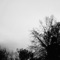 stockholm (feat. stxrz) - yanci lyrics