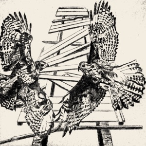 Where Two Hawks Fly - Single