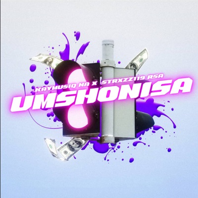 Umshonisa - Single